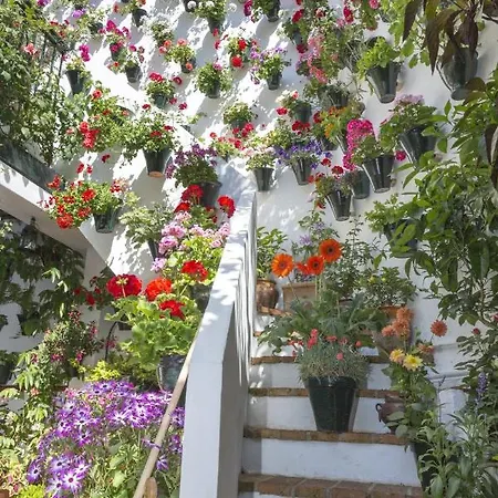 La Casa De Rafalita