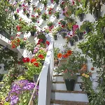 La Casa De Rafalita